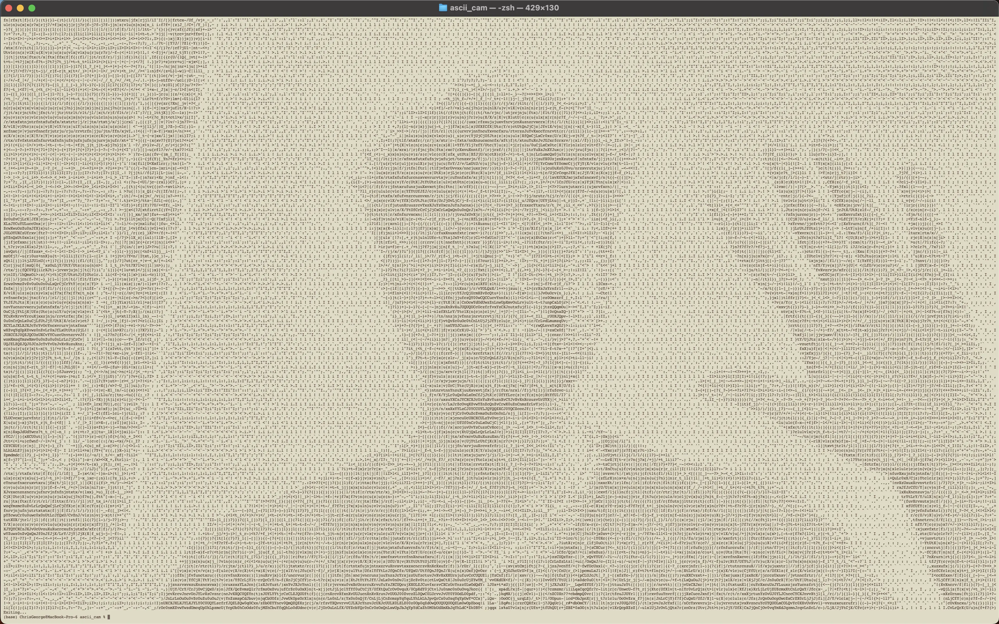 ASCII Camera